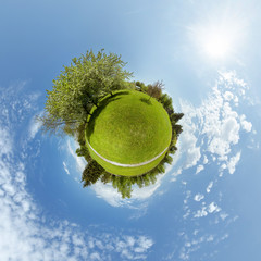Little planet with trees and green meadow