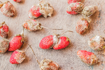 Rotten strawberries on wooden table