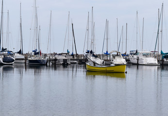 Sail boats in marina 