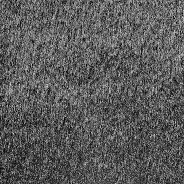 Grey Fur Texture