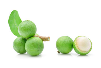 fresh macadamia nut on white background