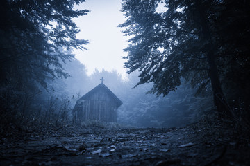 Old haunted wooden house, spooky misty foggy forest, halloween holiday celebration background concept, located in Transylvania, Romania
