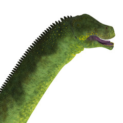Puertasaurus Dinosaur Head - Puertasaurus was a herbivorous sauropod dinosaur that lived in Patagonia in the Cretaceous Period. © Catmando