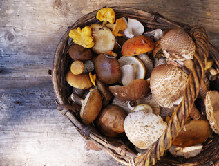 Variety of uncooked wild forest mushrooms in a basket on a wooden old board. Top view.