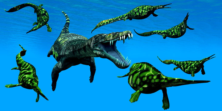 Nothosaurus Marine Reptile - A Nothosaurus marine reptile attacks a pod of Hepehsuchus dinosaurs in a Triassic Ocean.