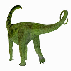 Puertasaurus Dinosaur Tail - Puertasaurus was a herbivorous sauropod dinosaur that lived in Patagonia in the Cretaceous Period. © Catmando