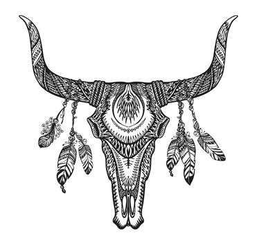 Bull skull with feathers. Hand drawn sketch native american totem