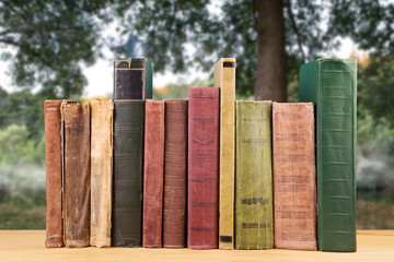 stack of books over the natural background