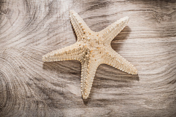 Starfish on wooden board spa concept