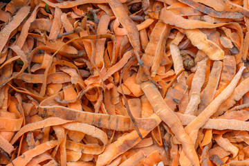 Carrots waste