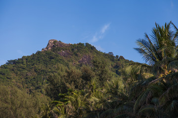 Fototapeta na wymiar hills in the jungle with clouds in Thailand