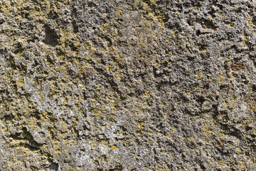 Ancient grungy wall - Sandstone surface background
