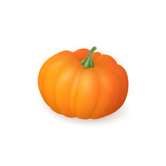 Realistic pumpkin isolated on white background. Bright orange vegetable. Vector illustration. EPS 10.