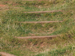 stufen, mit gras bedeckt 