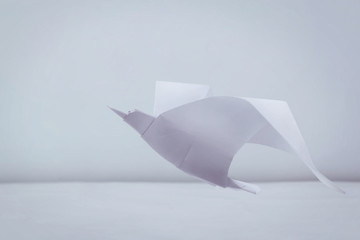Fototapeta premium Origami freedom seagull