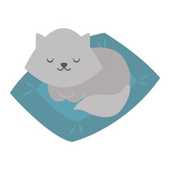 Persian cat cartoon style vector silhouette. Cute domestic cat animal sitting. Cartoon persian cat young adorable tail symbol playful. Cartoon funny domestic pussy kitty persian cat sit character