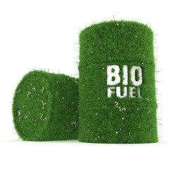 3D rendering barrels of biofuels