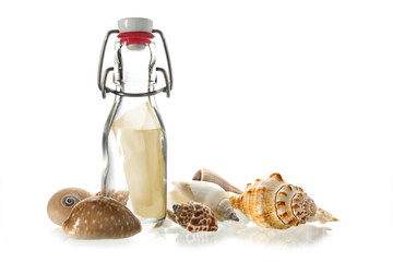 message in a bottle  of glass between some sea shells isolated on white