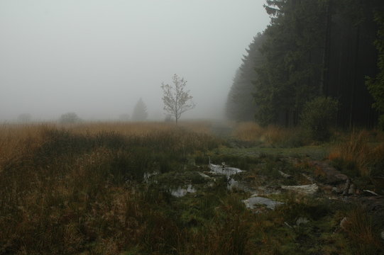 Herbstwanderung. In belgischer Moor- und Berglandschaft.
