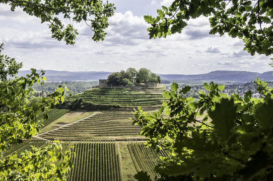 Burg Weibertreu, Weinsberg