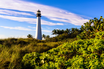 Cape Florida II