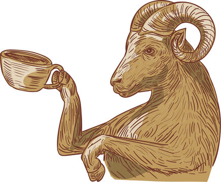 Ram Goat Drinking Coffee Drawing