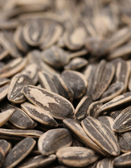 Sunflower Seeds