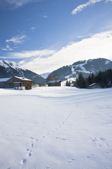 Snowy landscape with traditional swiss houses in Alps