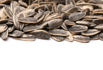 Sunflower Seeds