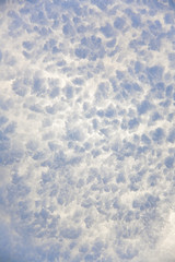 Detail of snow through light