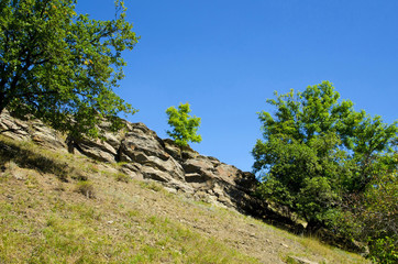 Скальная гряда на фоне флоры.