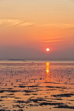 sunset on the coast of bangpoo thailand