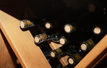 Bottles with wine on wooden shelves in cellar