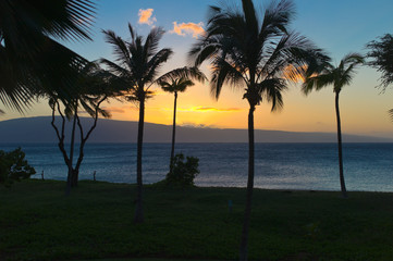 Fototapeta na wymiar Maui, Havaii