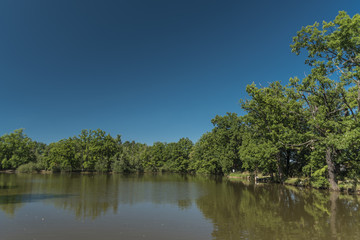 Fototapeta na wymiar Pond near Branisov village in summer