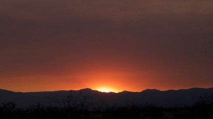 Mojave