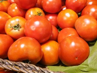 tomato for sale at market
