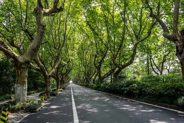 the road in west lake
