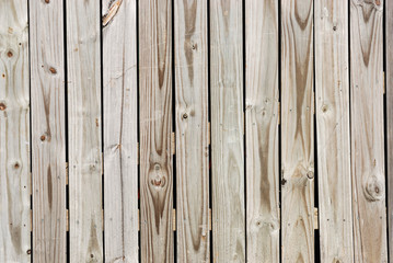 grunge wood fence texture, close up with details