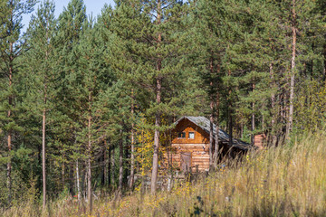 Wooden house in the woods among the trees at sunset