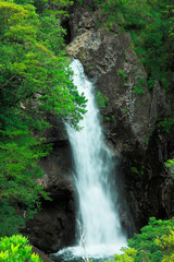 Fototapeta na wymiar 龍神の滝 