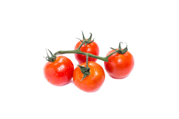 Bunch of fresh tomatoes with water drops. Isolated on white background
