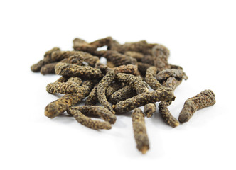 Indian long pepper (piper longum)