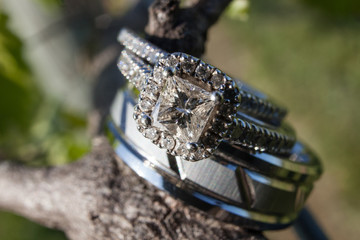 Wedding rings on grapevine