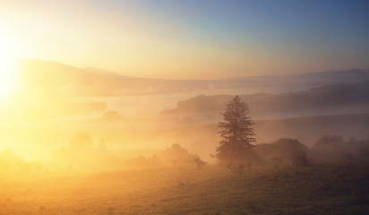 Fototapeta na wymiar Sun shining through fog on mountain