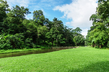 green lawn landscape with tree shadow in park