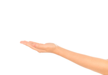 Fototapeta premium Beautiful woman hand holding isolated on white background .