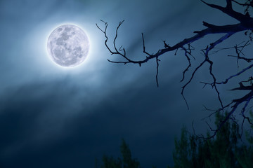full moon in dark blue sky