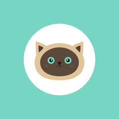 Siamese cat head round circle icon in flat design style. Cute cartoon character. Happy sitting kitten with blue eyes. Baby background. Isolated.