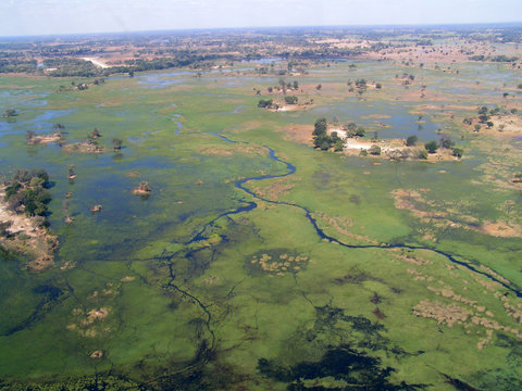 Aerial View of Okavnago Delta, Botswana